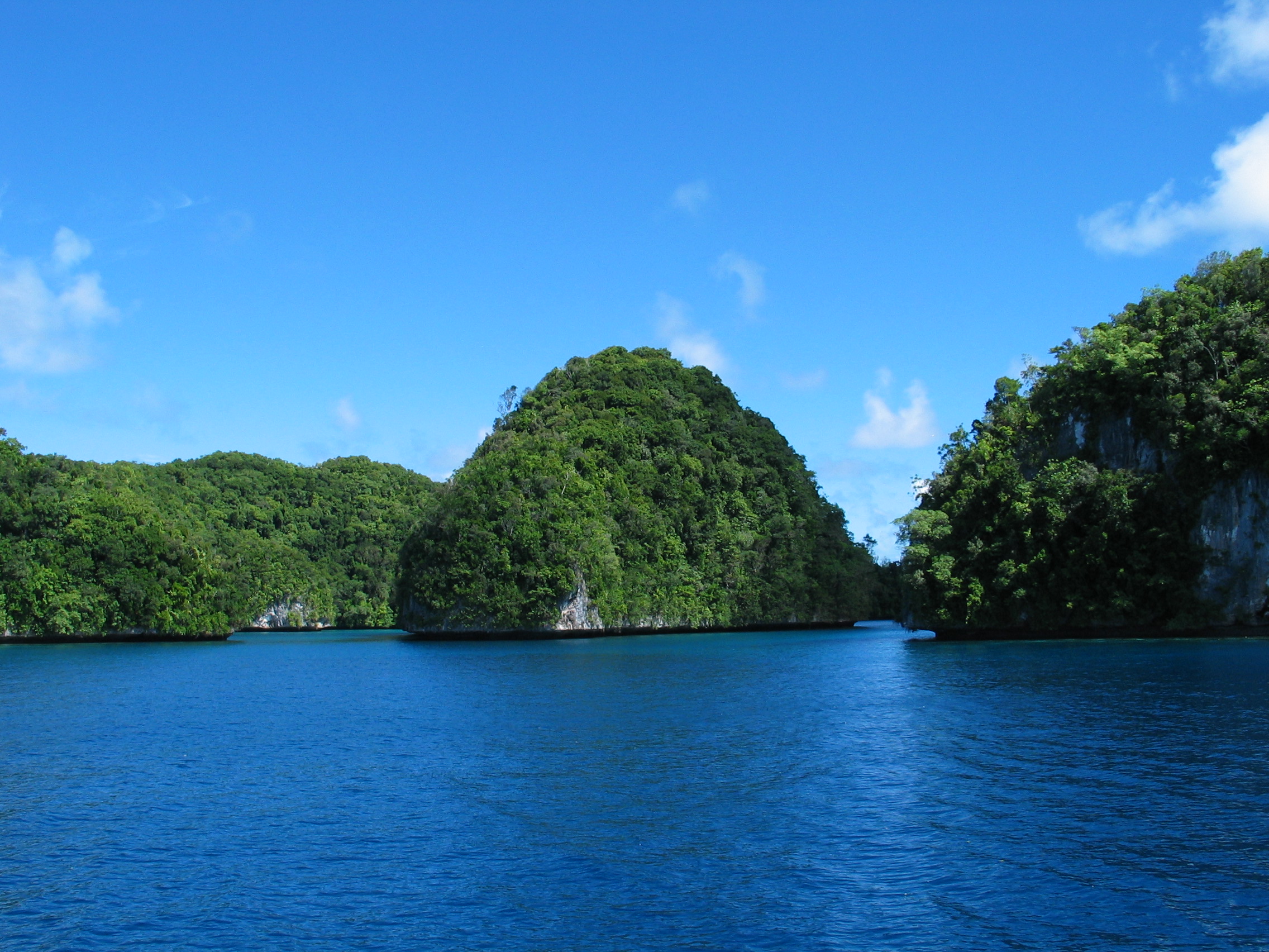 forested island in the pacific